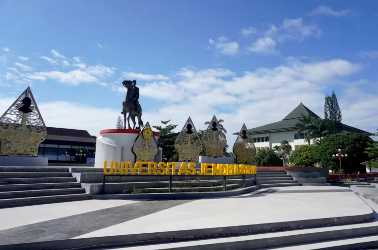 UNSOED10