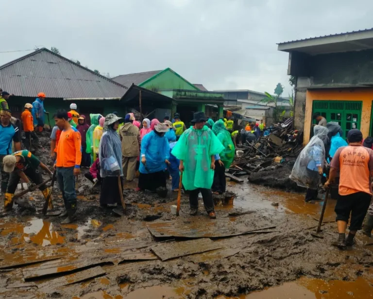 WhatsApp Image 2026-02-06 at 20.08