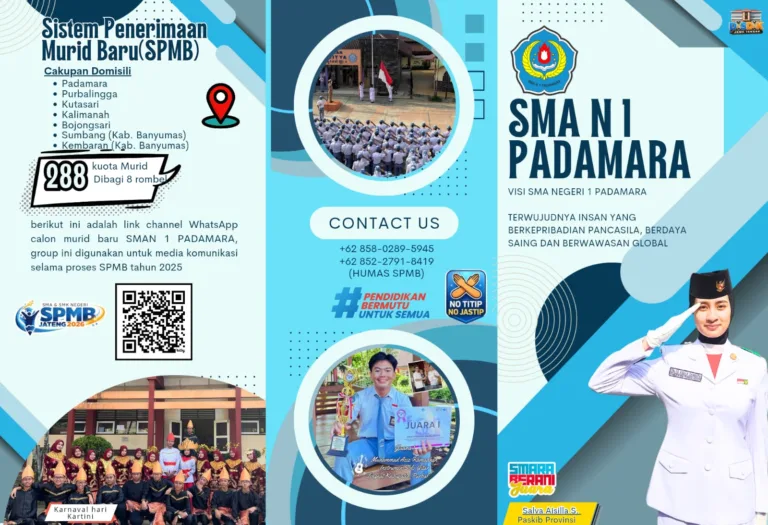 padamara3